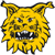 FC Ilves